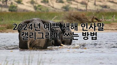 2024년, 예쁜 새해 인사말 캘리그라피 쓰는 방법
