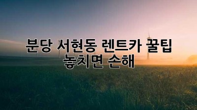 분당 서현동 렌트카 꿀팁!🚗💨 놓치면 손해?!