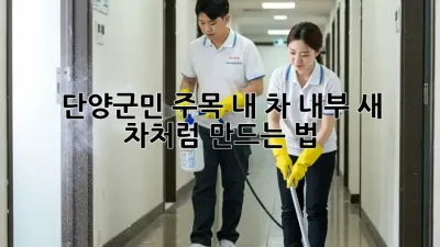 ✨ 단양군민 주목! 내 차 내부, 새 차처럼 만드는 법 🚗💨